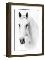 Ghost Equus-null-Framed Art Print