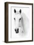 Ghost Equus-null-Framed Art Print