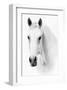 Ghost Equus-null-Framed Art Print