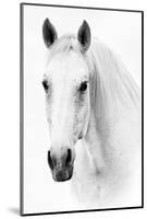 Ghost Equus-null-Mounted Art Print