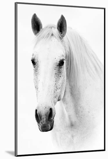 Ghost Equus-null-Mounted Art Print