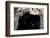 Ghost-Faced Bats (Mormoops Megalophylla) Flying into Cave Through Cave Entrance, Sabinas, Mexico-Barry Mansell-Framed Photographic Print