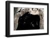 Ghost-Faced Bats (Mormoops Megalophylla) Flying into Cave Through Cave Entrance, Sabinas, Mexico-Barry Mansell-Framed Photographic Print