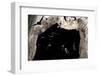 Ghost-Faced Bats (Mormoops Megalophylla) Flying into Cave Through Cave Entrance, Sabinas, Mexico-Barry Mansell-Framed Photographic Print