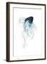 Ghost Fish-Alexis Marcou-Framed Art Print