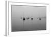 Ghost Fleet-Adrian Campfield-Framed Photographic Print