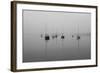 Ghost Fleet-Adrian Campfield-Framed Photographic Print
