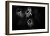 Ghost Flowers-Sharon Wish-Framed Premium Photographic Print