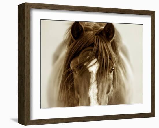 Ghost Horse-Lisa Dearing-Framed Photographic Print