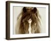 Ghost Horse-Lisa Dearing-Framed Photographic Print