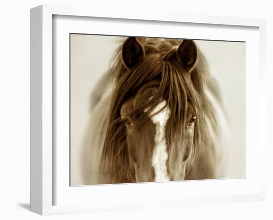 Ghost Horse-Lisa Dearing-Framed Photographic Print