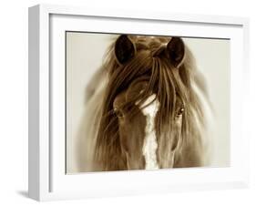 Ghost Horse-Lisa Dearing-Framed Photographic Print