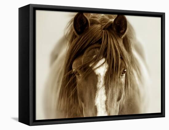 Ghost Horse-Lisa Dearing-Framed Stretched Canvas