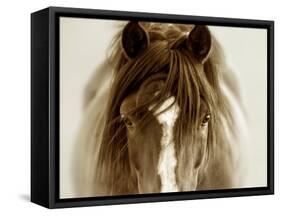 Ghost Horse-Lisa Dearing-Framed Stretched Canvas