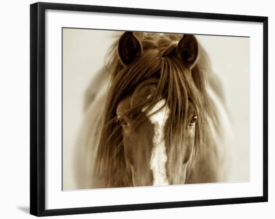 Ghost Horse-Lisa Dearing-Framed Photographic Print