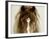 Ghost Horse-Lisa Dearing-Framed Photographic Print