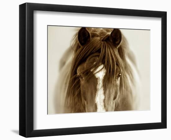 Ghost Horse-Lisa Dearing-Framed Photographic Print