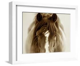 Ghost Horse-Lisa Dearing-Framed Photographic Print