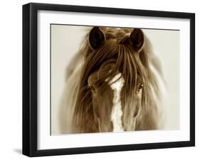 Ghost Horse-Lisa Dearing-Framed Premium Photographic Print