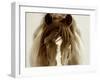 Ghost Horse-Lisa Dearing-Framed Premium Photographic Print