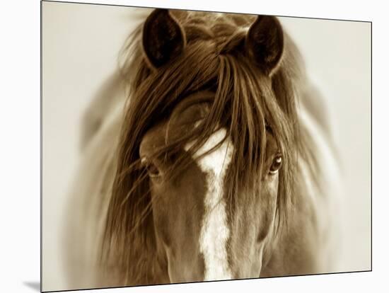 Ghost Horse-Lisa Dearing-Mounted Photographic Print