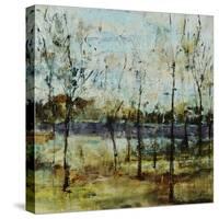 Ghost Lake-Jodi Maas-Stretched Canvas