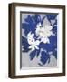 Ghost Orchid 1-Ivo-Framed Art Print