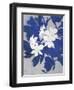 Ghost Orchid 1-Ivo-Framed Art Print