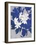 Ghost Orchid 1-Ivo-Framed Art Print