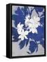 Ghost Orchid 1-Ivo-Framed Stretched Canvas