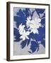 Ghost Orchid 1-Ivo-Framed Art Print