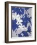 Ghost Orchid 2-Ivo-Framed Art Print