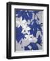 Ghost Orchid 2-Ivo-Framed Art Print