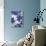 Ghost Orchid 2-Ivo-Art Print displayed on a wall