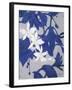 Ghost Orchid 2-Ivo-Framed Art Print
