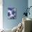 Ghost Orchid 2-Ivo-Mounted Art Print displayed on a wall