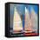 Ghost Sailing-Beth A. Forst-Framed Stretched Canvas