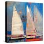Ghost Sailing-Beth A. Forst-Stretched Canvas