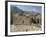 Ghost Town of Izki, Near Nizwa, Sultanate of Oman, Middle East-Bruno Barbier-Framed Photographic Print