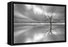 Ghost Tree-Leif Løndal-Framed Stretched Canvas