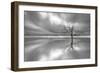 Ghost Tree-Leif Løndal-Framed Photographic Print