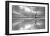 Ghost Tree-Leif Løndal-Framed Photographic Print