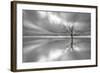 Ghost Tree-Leif Løndal-Framed Photographic Print