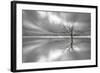 Ghost Tree-Leif Løndal-Framed Photographic Print