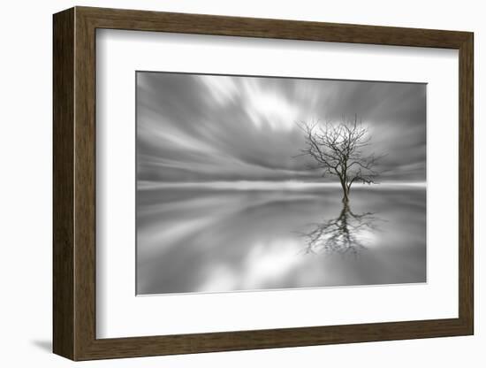 Ghost Tree-Leif Løndal-Framed Photographic Print