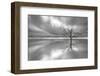 Ghost Tree-Leif Løndal-Framed Photographic Print