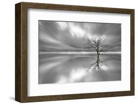 Ghost Tree-Leif Løndal-Framed Photographic Print