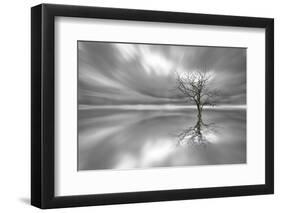 Ghost Tree-Leif Løndal-Framed Photographic Print
