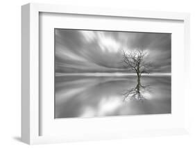 Ghost Tree-Leif Løndal-Framed Photographic Print