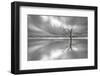 Ghost Tree-Leif Løndal-Framed Premium Photographic Print